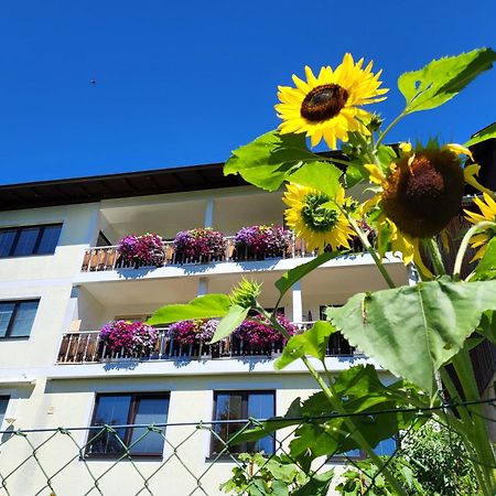 Gaestehaus Herma Ramsau am Dachstein Exterior photo